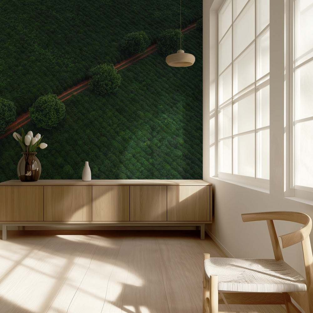 Grønne Perler | Fototapeter