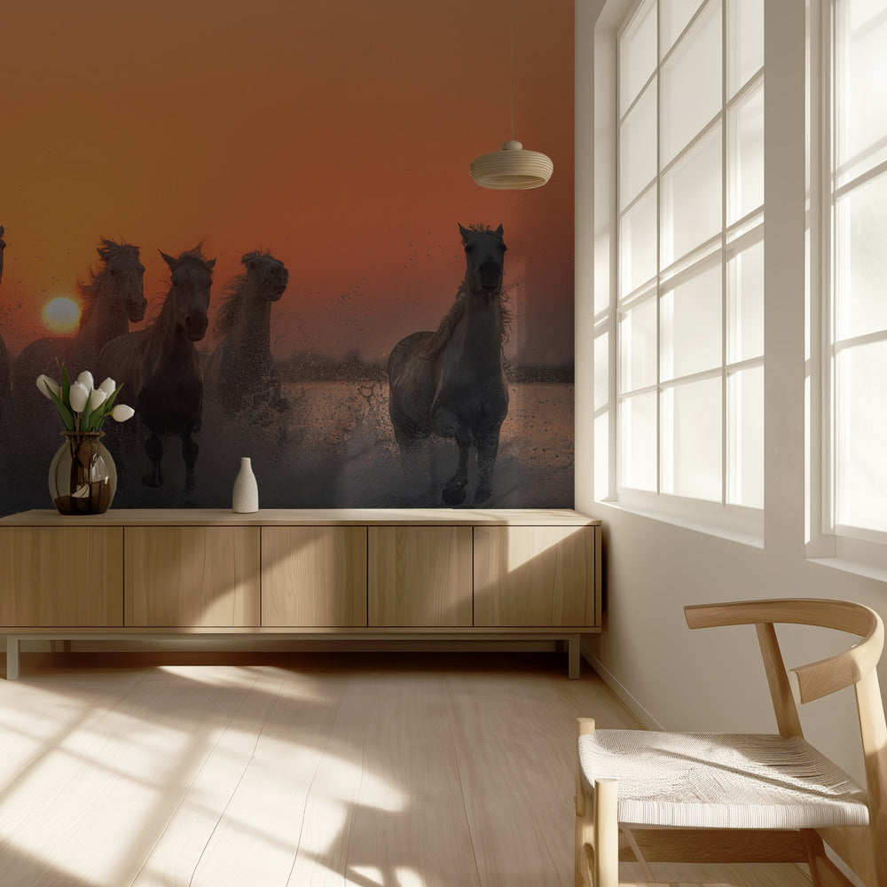 Auringonlasku Camarguessa | Valokuvatapetit