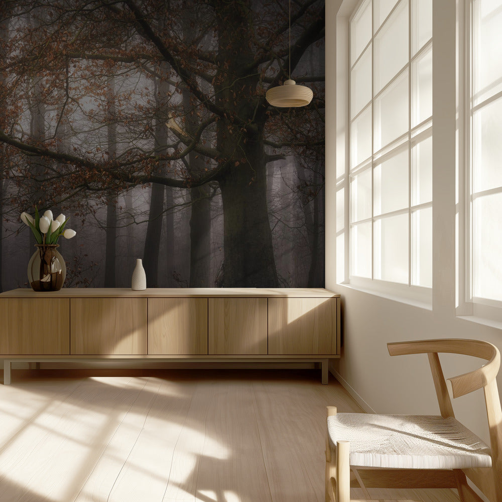 Tåget erindring om fortiden | Fototapeter