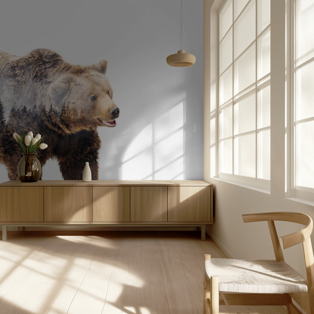 Karhu | Valokuvatapetit