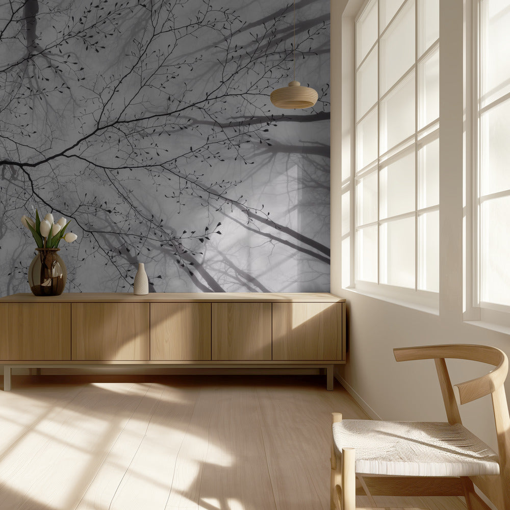 Udsigt over trækronen | Fototapeter