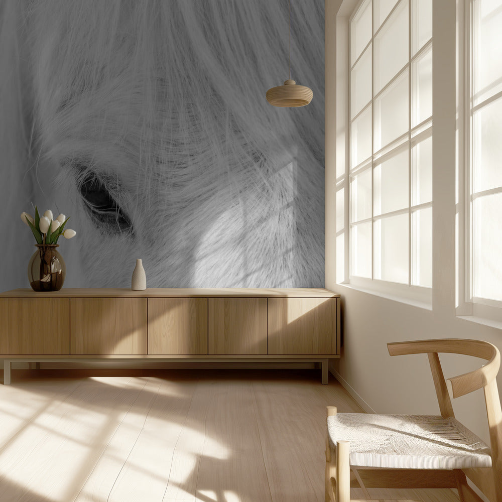 Szept Islandii | Fototapeta