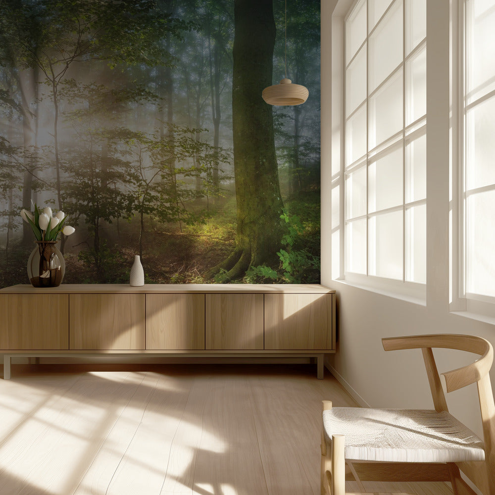 Morgensonne | Fototapeten