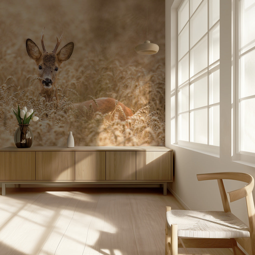 Ciervos en el campo | Papel Pintado Fotográfico