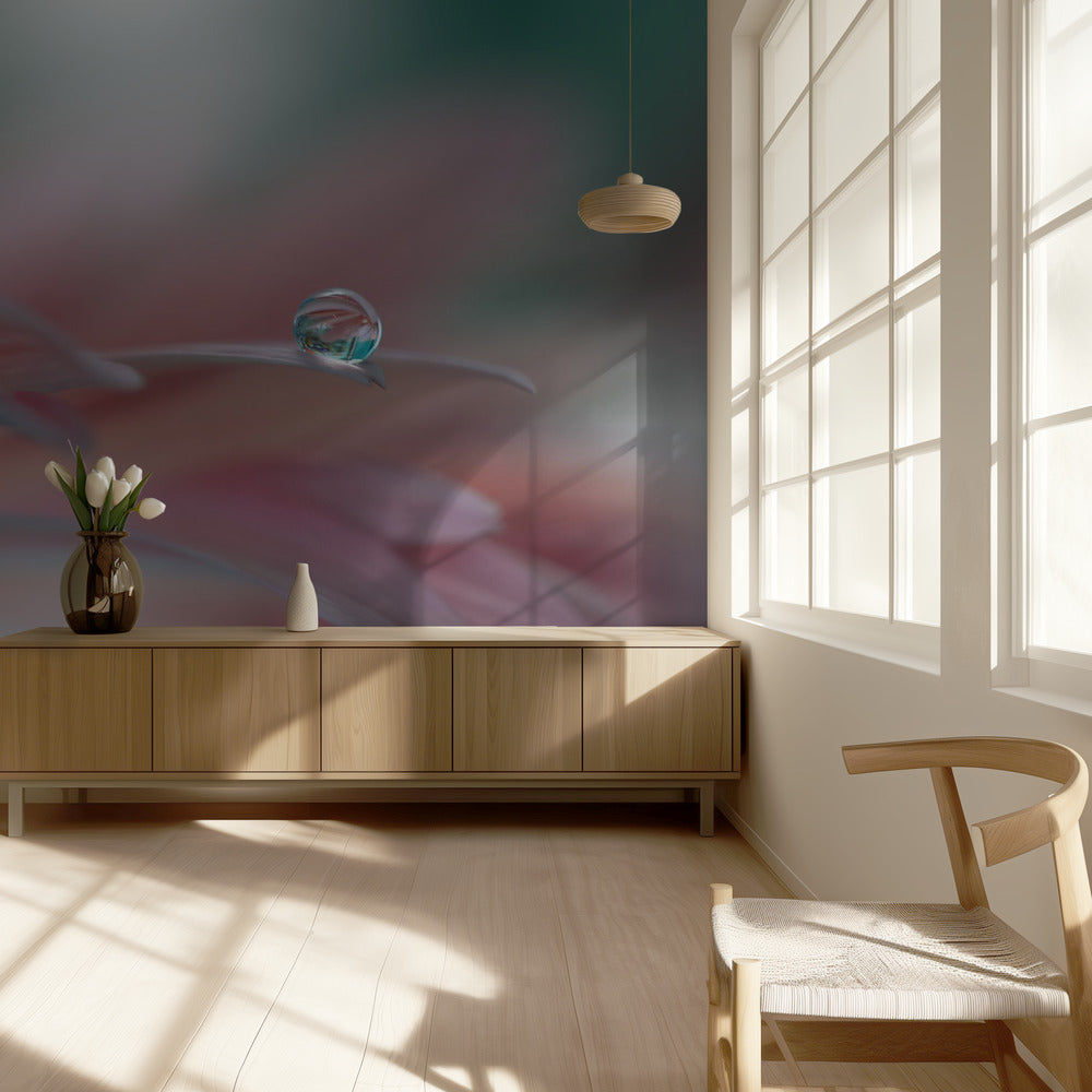 Auringonsäde..II | Valokuvatapetit