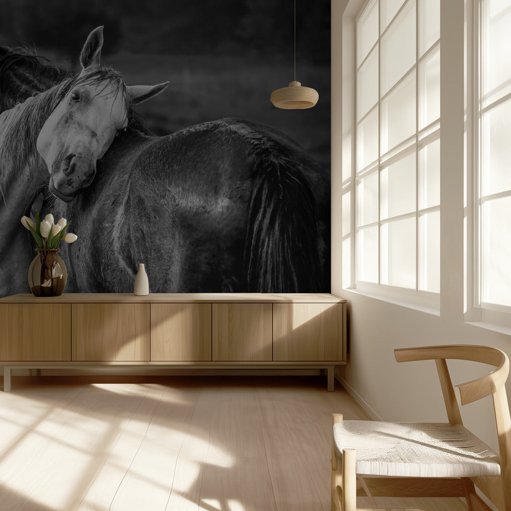 Lämmin sade | Valokuvatapetit