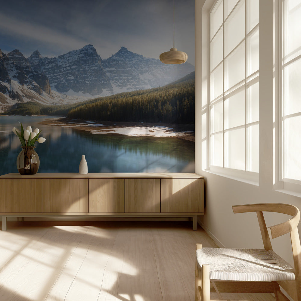 Vanha ystävä. Valokuvatapetit