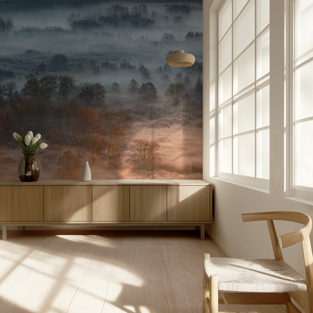 Efterårståget daggry | Fototapeter