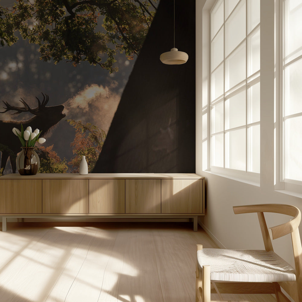 Él espera en las sombras | Papel Pintado Fotográfico