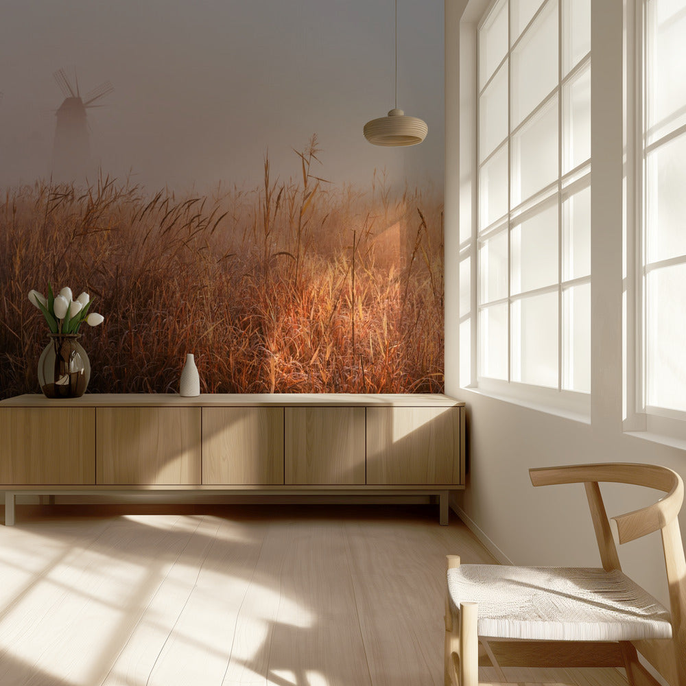 Poranna mgła | Fototapeta