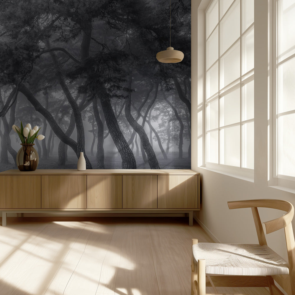 Toujours | Papier Peint Photo