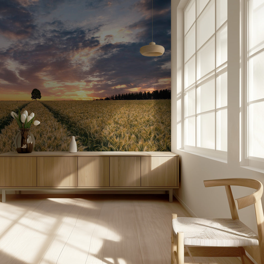 Unelmien kenttä | Valokuvatapetit