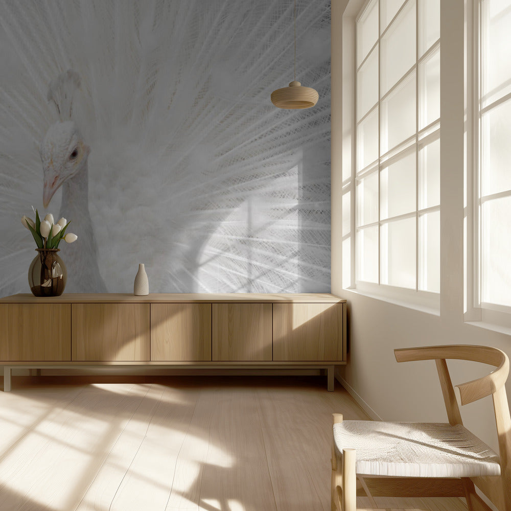 Prächtiger Weißer | Fototapeten