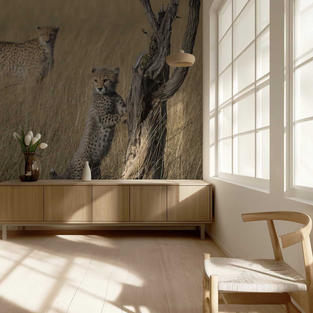 Sain sen äiti | Valokuvatapetit