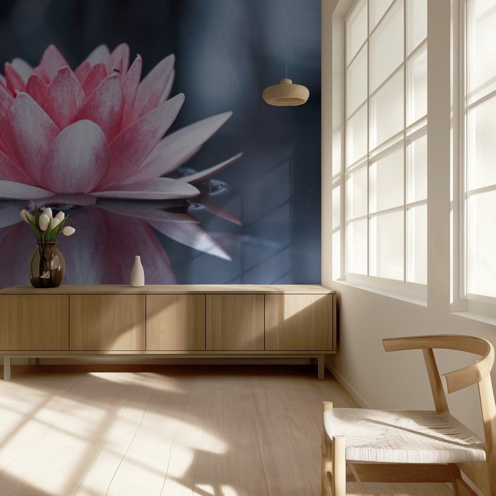 Padmasana | Valokuvatapetit