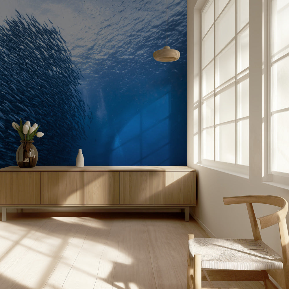 Massekæmpe | Fototapeter