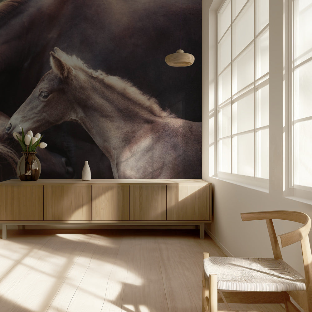 Bond | Valokuvatapetit