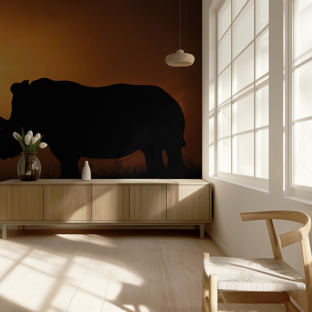 Sarvikuonon auringonnousu | Valokuvatapetit