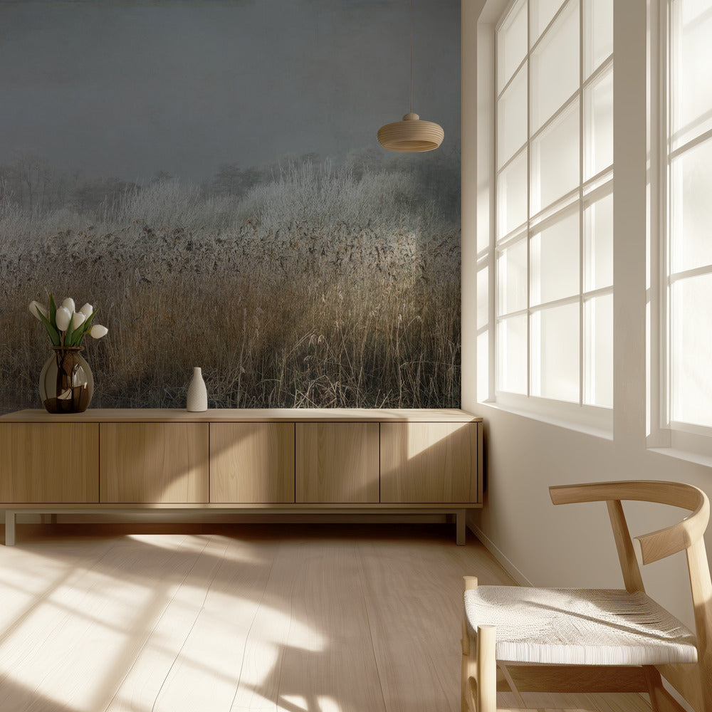 Talviaamu | Valokuvatapetit