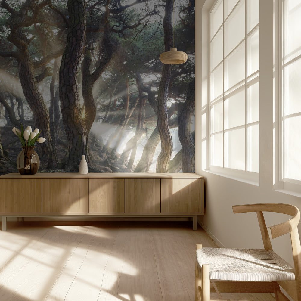 Hellige fyrretræer | Fototapeter