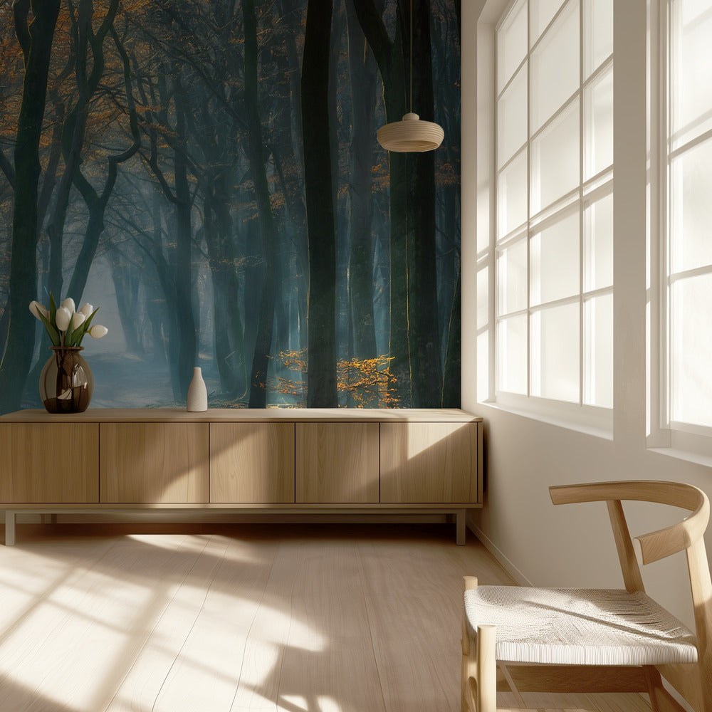 Luz fría | Papel Pintado Fotográfico