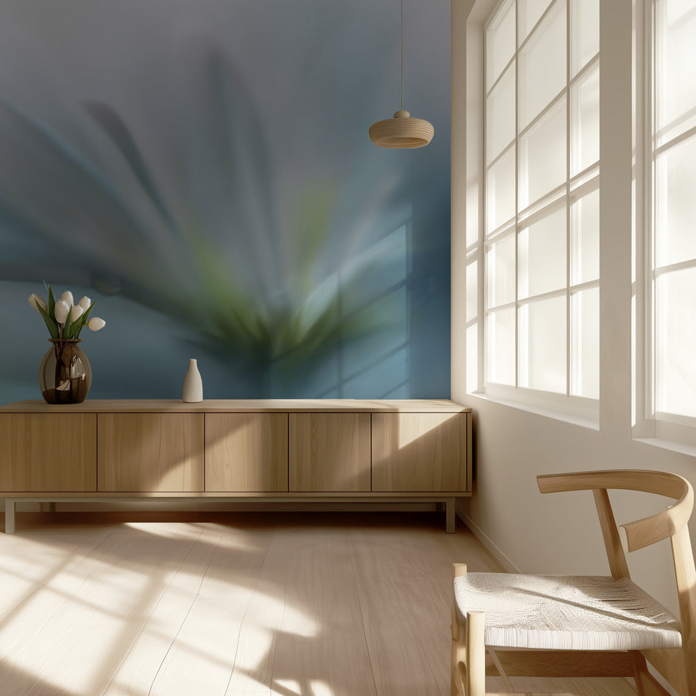 Toivon kentät.. | Valokuvatapetit