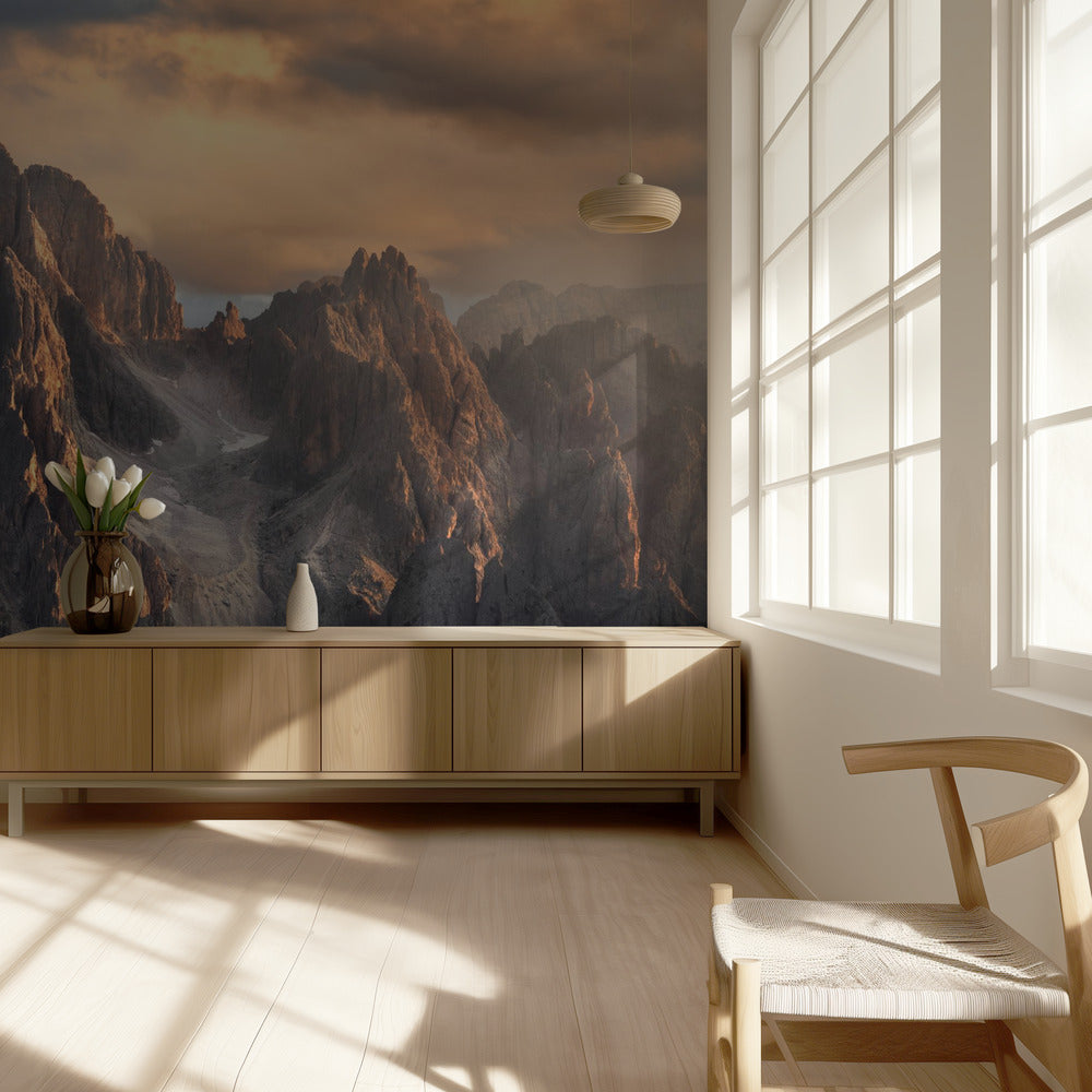 Valoa polulla | Valokuvatapetit