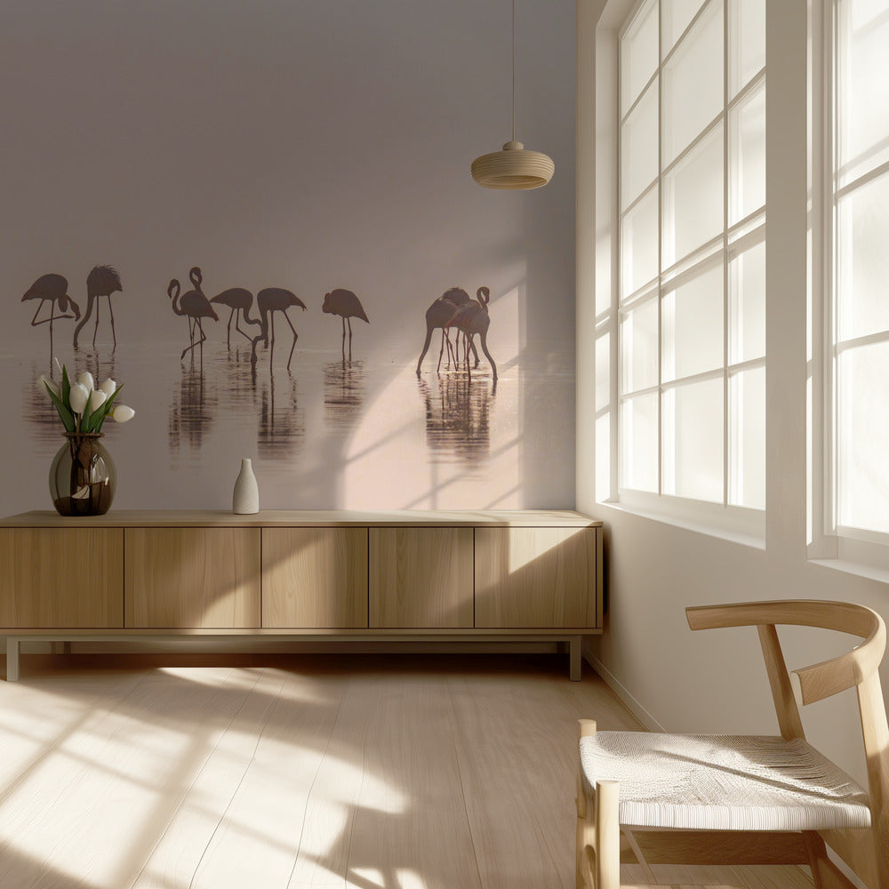 Flamingoja sumussa | Valokuvatapetit