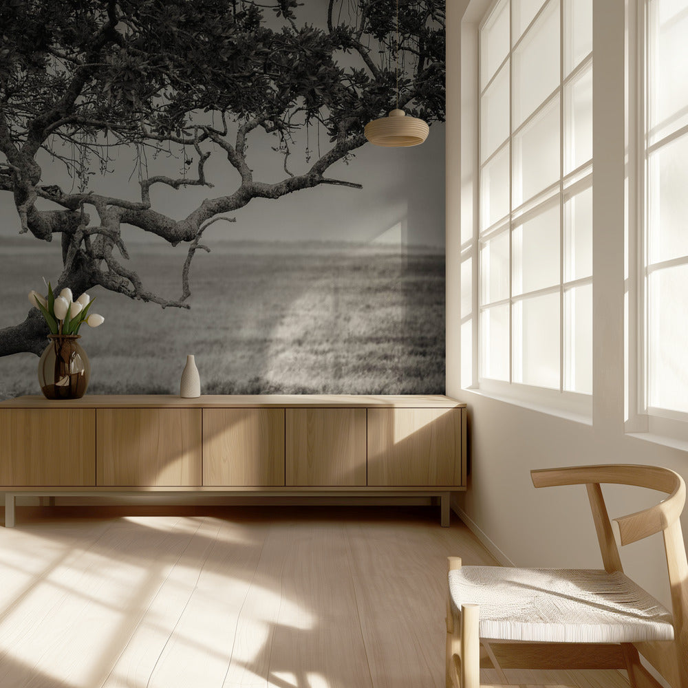 Kuningatar | Valokuvatapetit