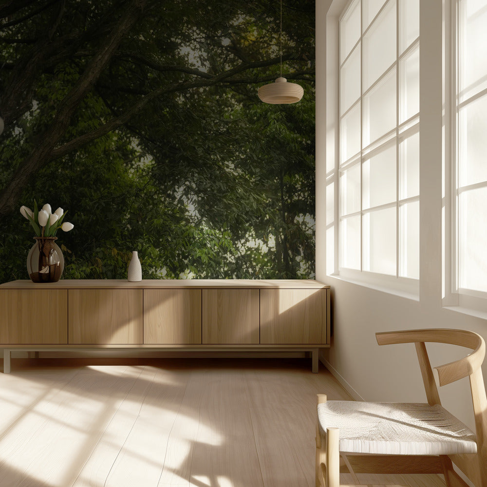 Panda | Papel Pintado Fotográfico