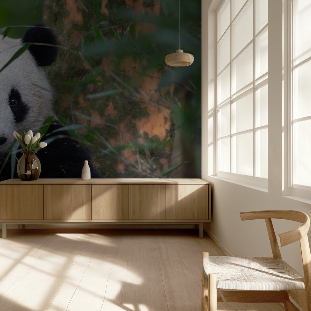 Tiempo de bambú | Papel Pintado Fotográfico