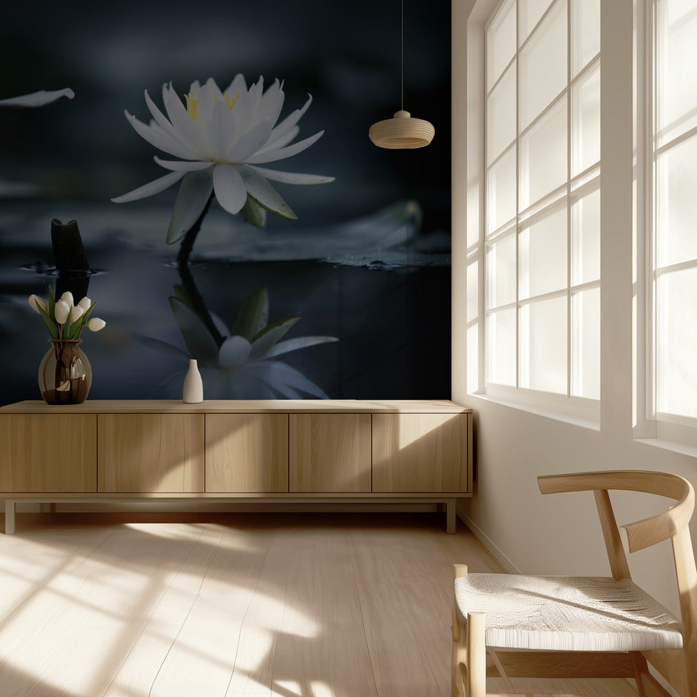 Heijastus | Valokuvatapetit