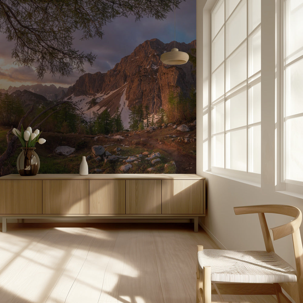 Maaginen aamu | Valokuvatapetit