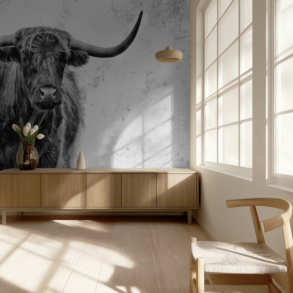 Voima | Valokuvatapetit