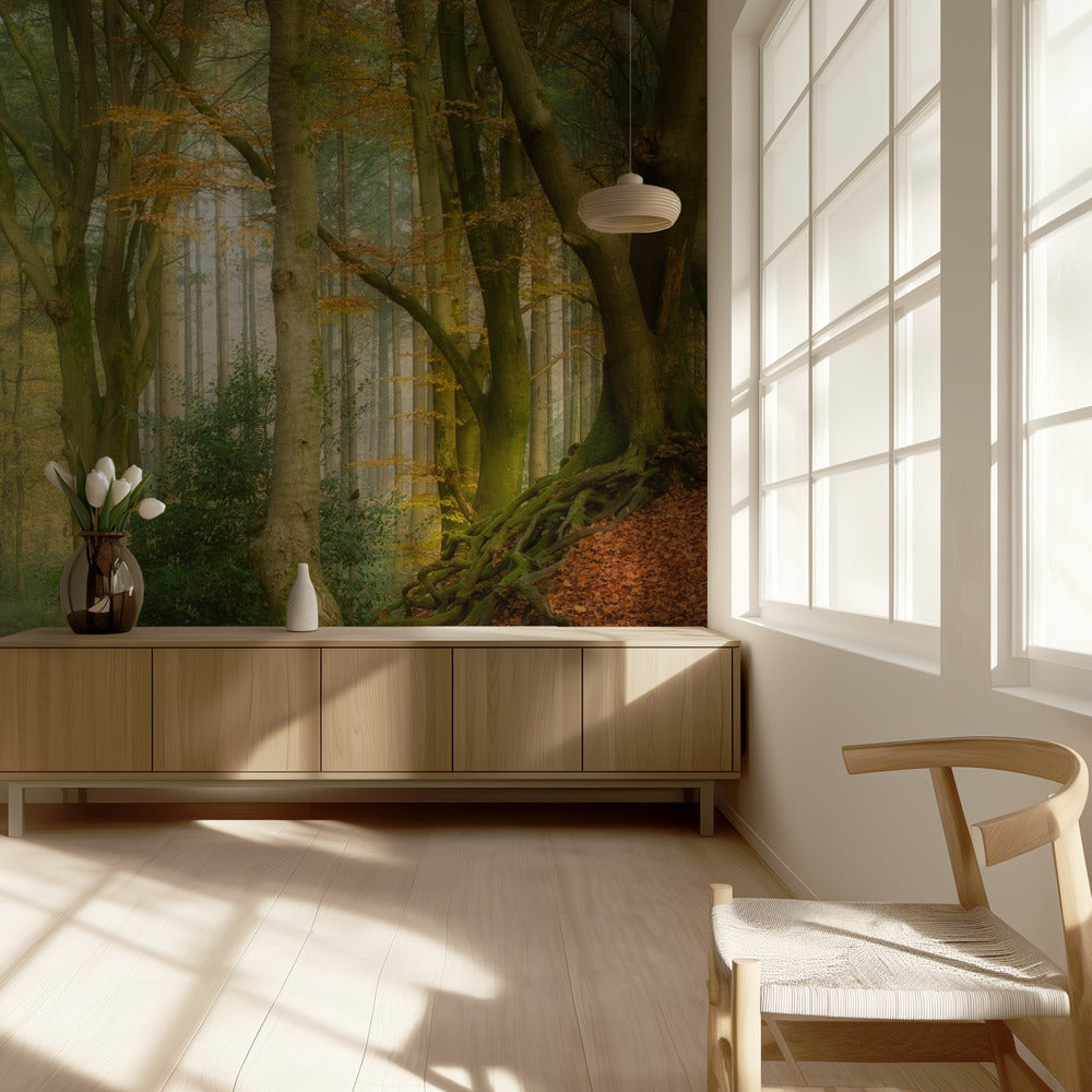 Seuraava sumu | Valokuvatapetit