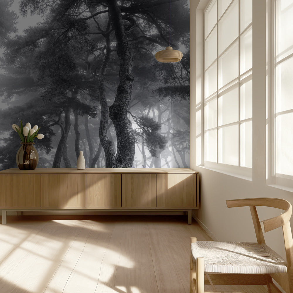 Kestää sata vuotta | Valokuvatapetit