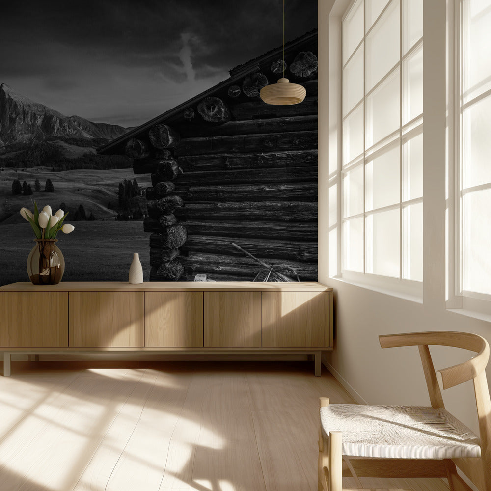 Nimetön | Valokuvatapetit