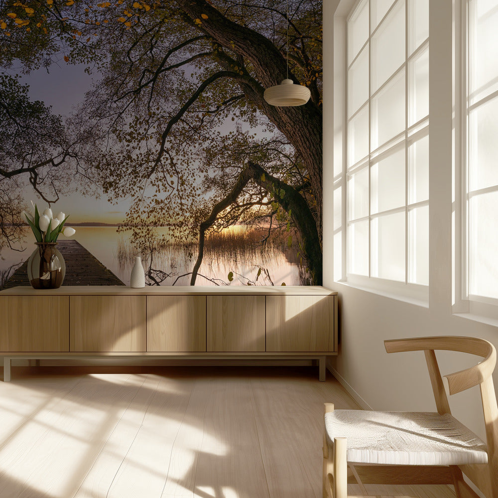 Syksy | Valokuvatapetit