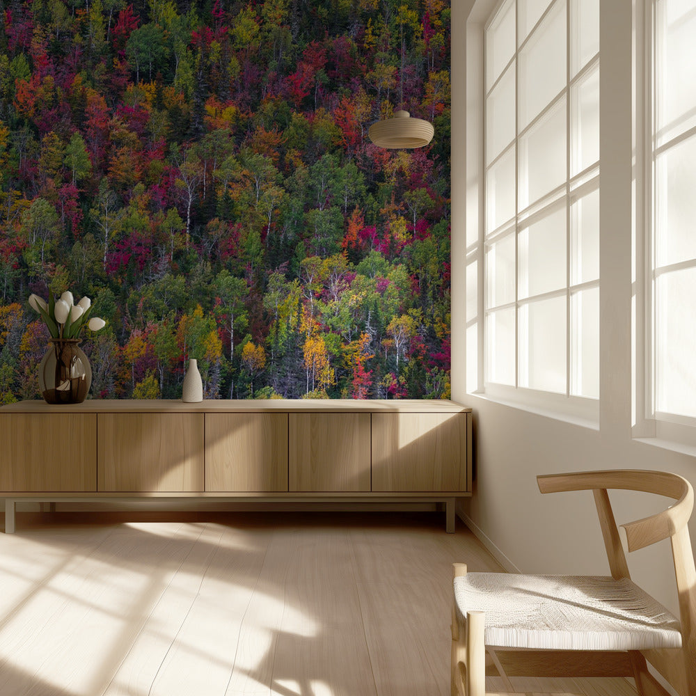 Väripaletti | Valokuvatapetit