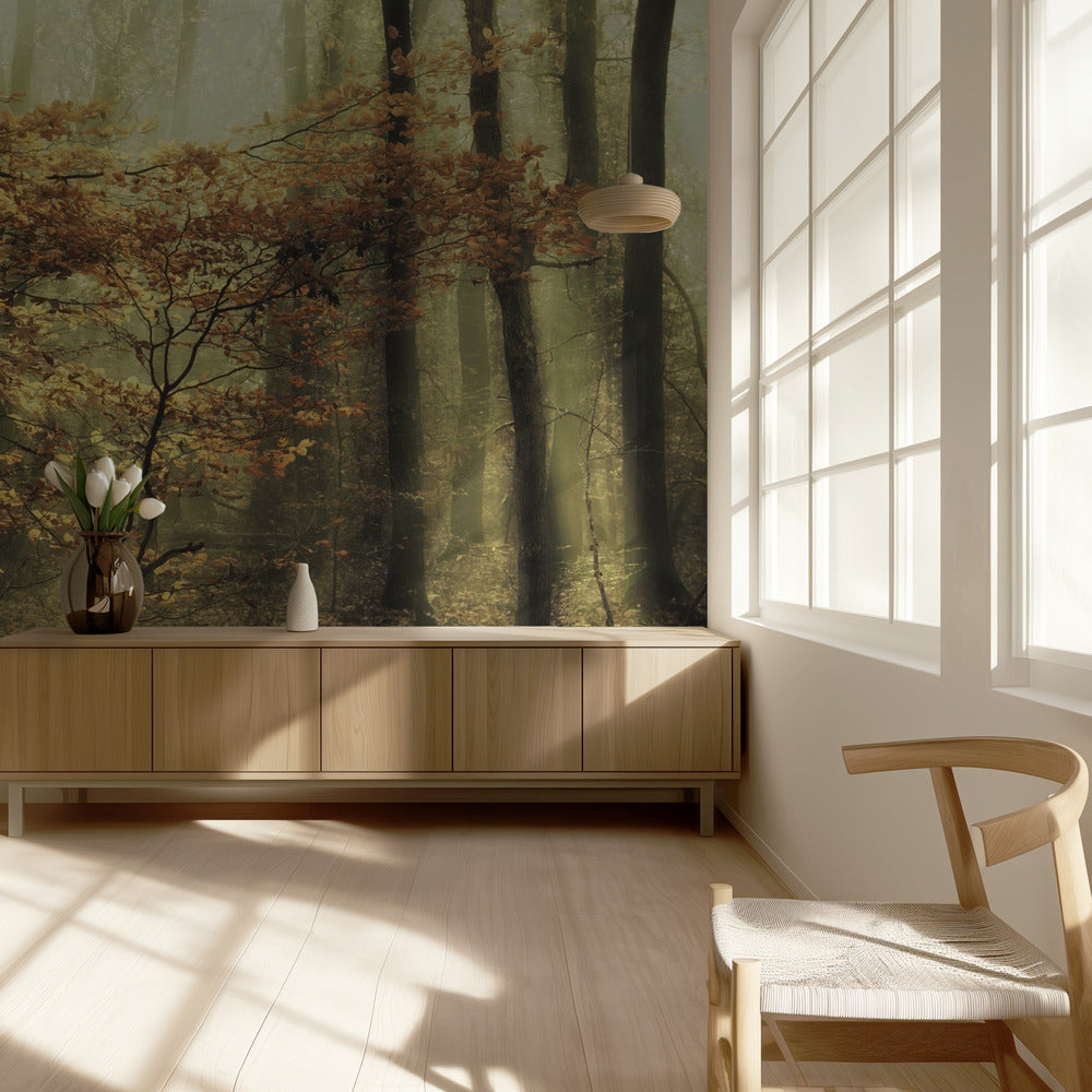 Pehmeä pudotus | Valokuvatapetit