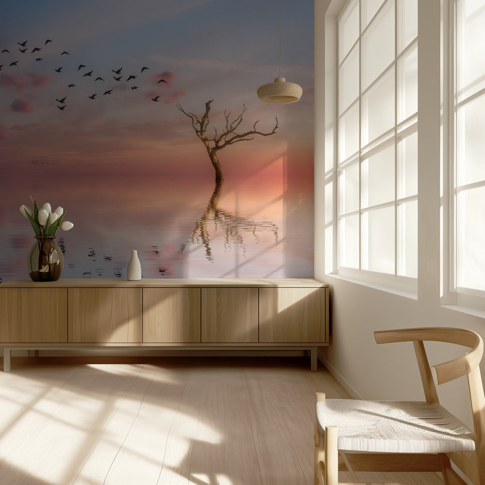 S.T. 006 | Valokuvatapetit