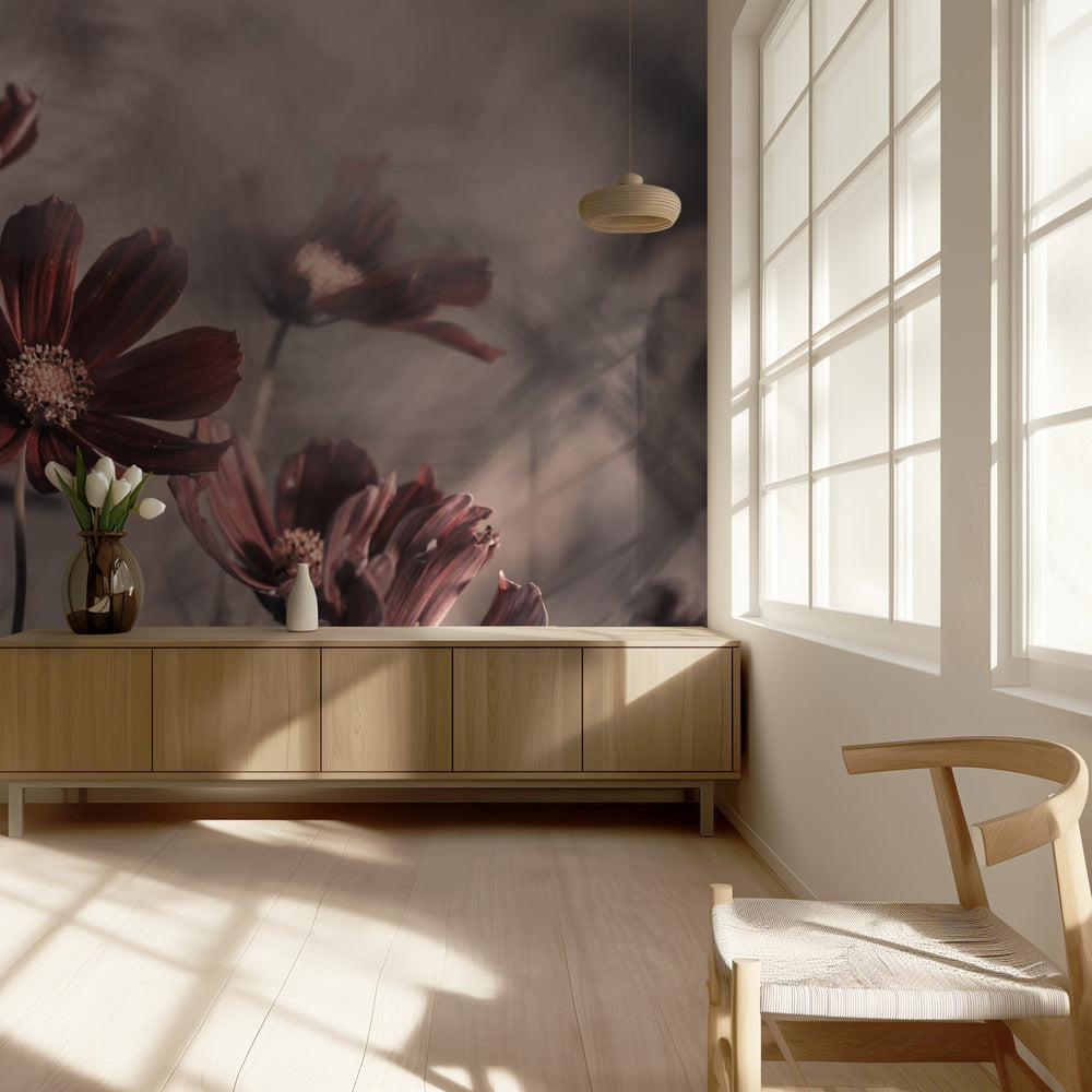 Kosmos 2019 | Valokuvatapetit