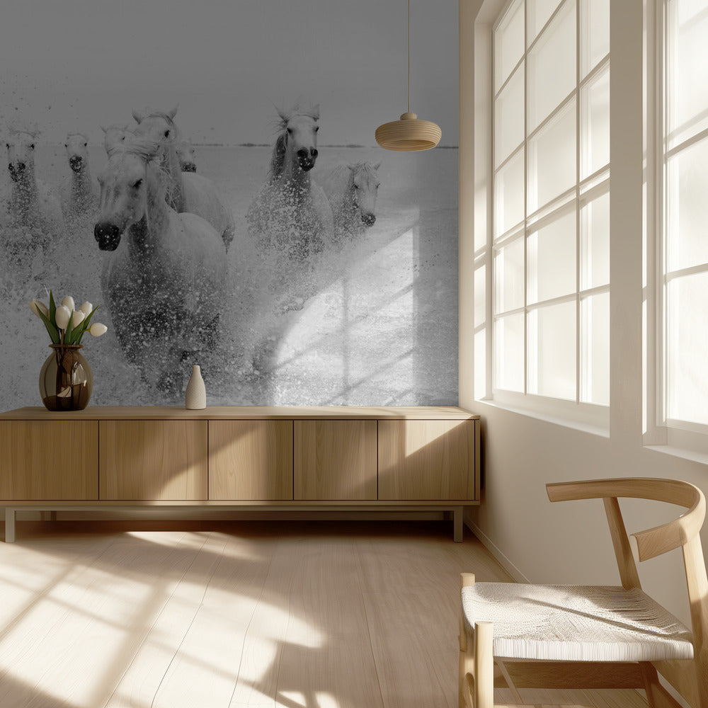 Nadchodzimy | Fototapeta