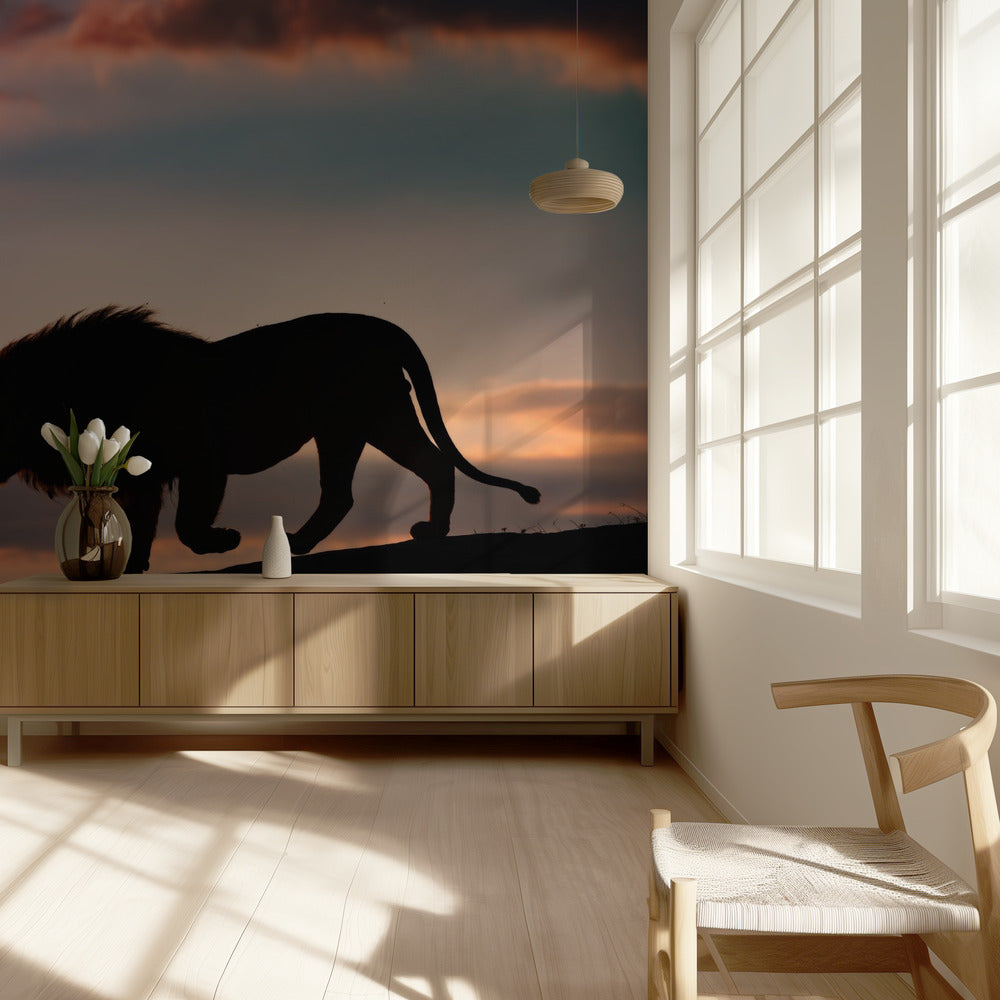 Auringonlasku Serengetissä | Valokuvatapetit