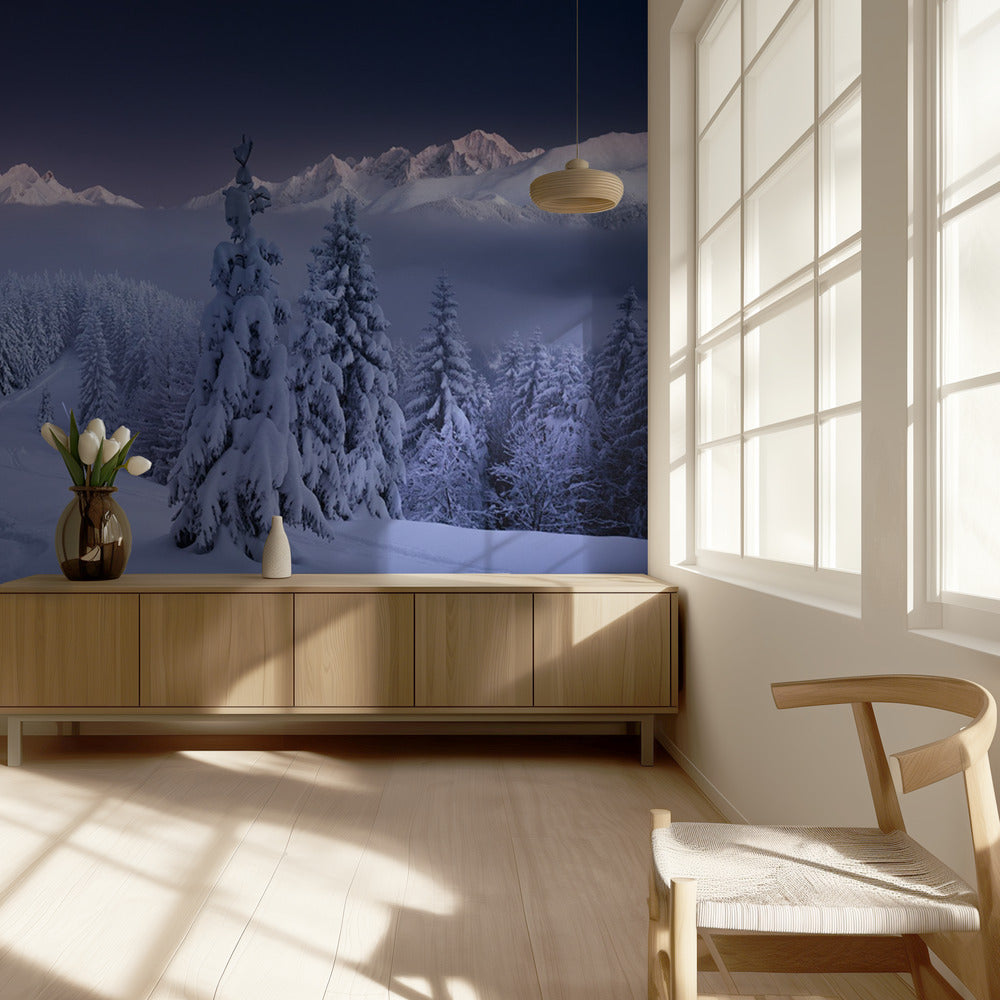 Talvella | Valokuvatapetit