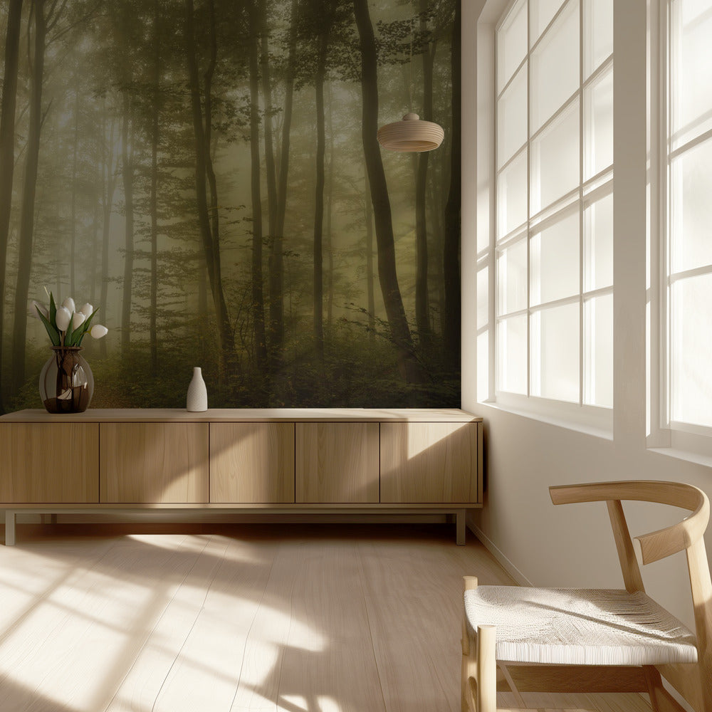 Katoavaisuuden viehätys | Valokuvatapetit