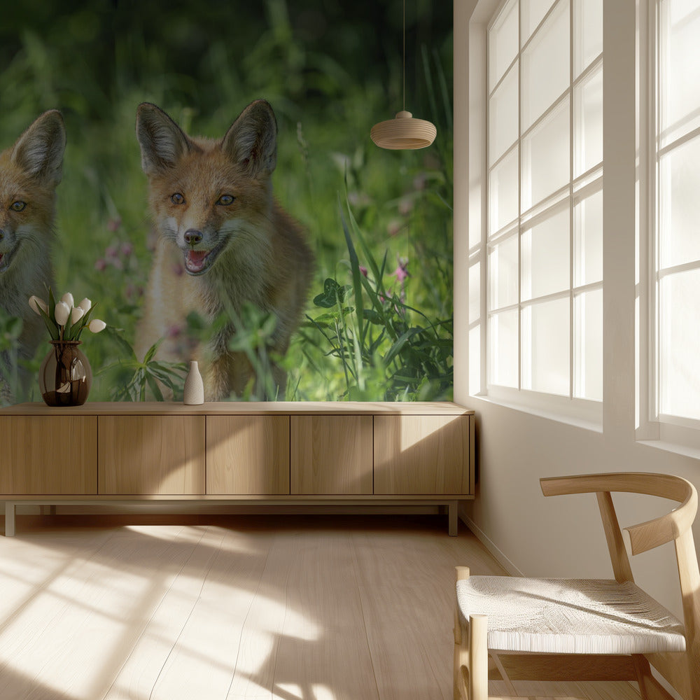 Hermanos | Papel Pintado Fotográfico