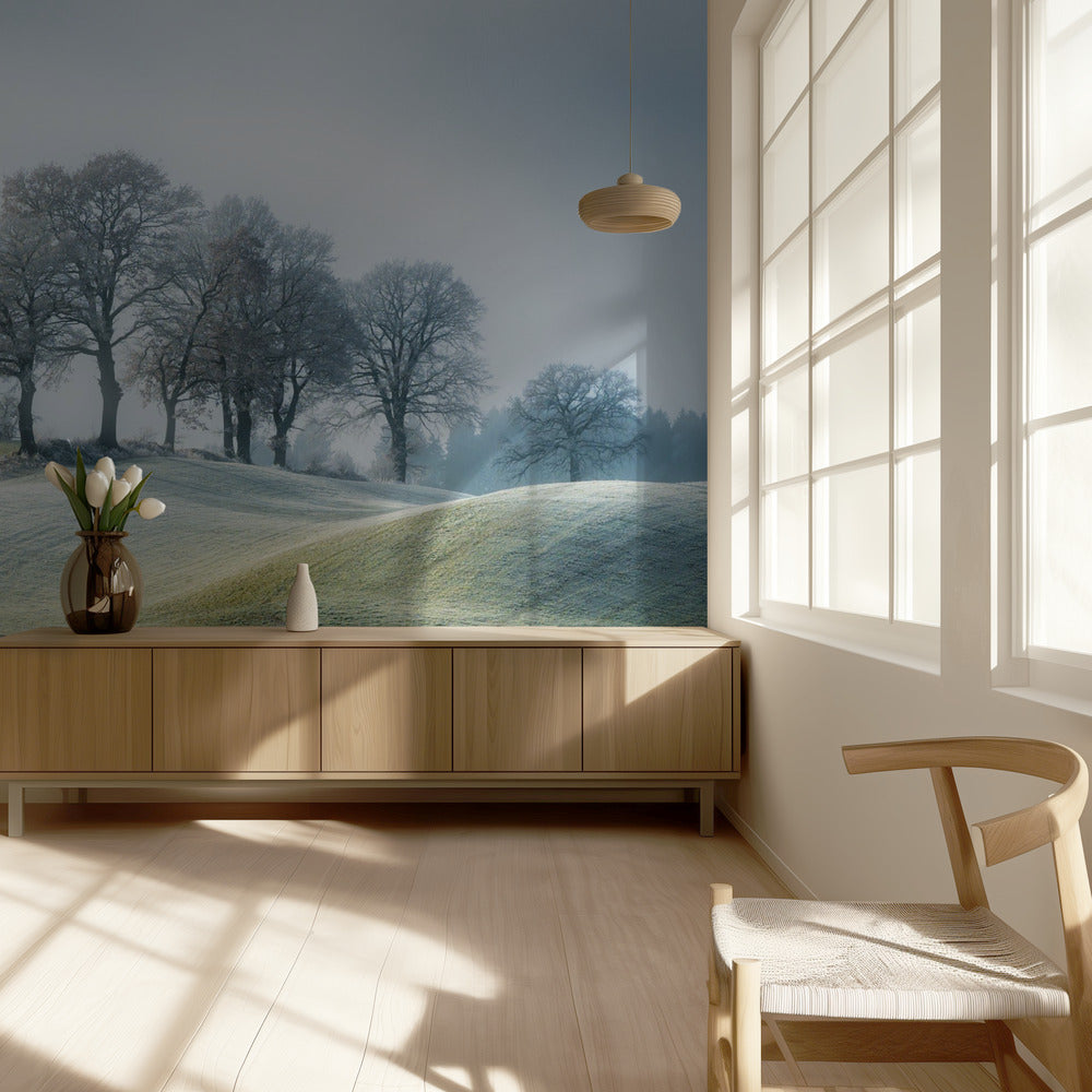 Se ei ole Toscanassa | Valokuvatapetit