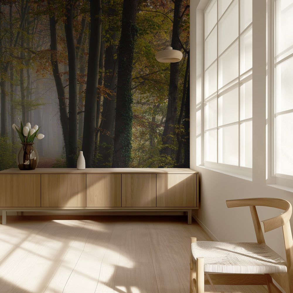 Syksyn värikäs metsä | Valokuvatapetit