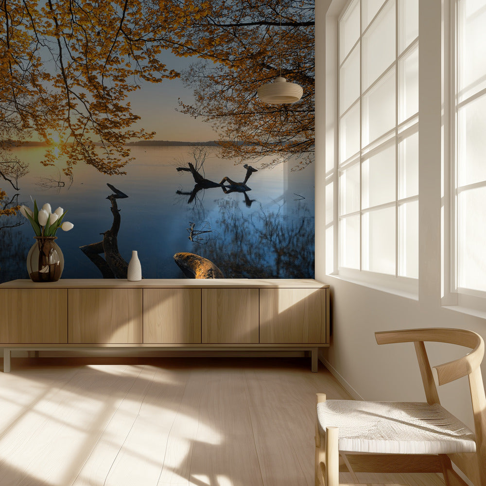 Syksyinen aamu | Valokuvatapetit